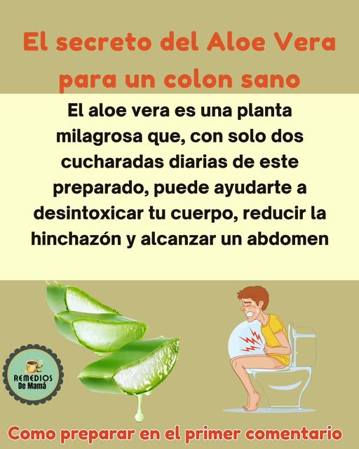 Beneficios del aloe vera para un colon sano