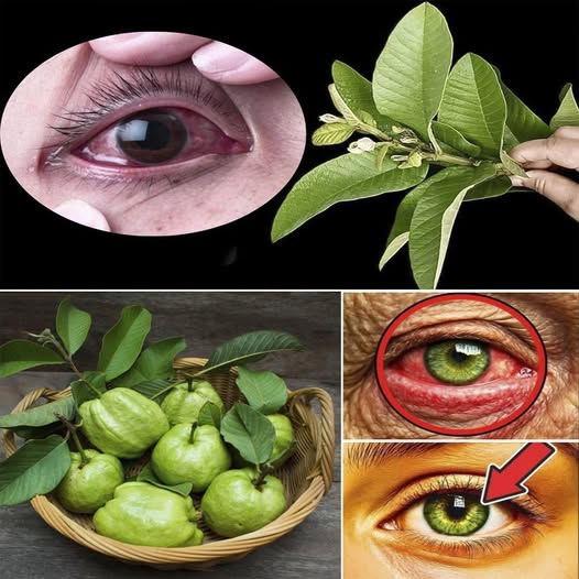 Remedios naturales para los ojos con guayaba