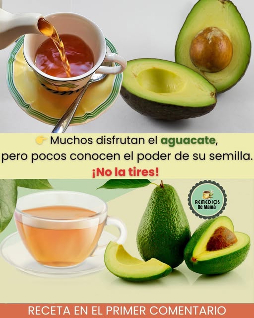 Semilla de aguacate