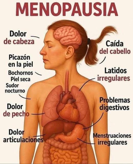 Síntomas de la menopausia