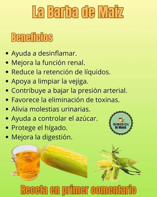 Infusión de Barba de Maíz