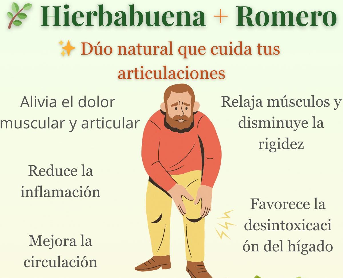 Alivio del dolor articular con hierbabuena y romero