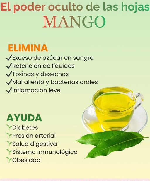 Beneficios de las hojas de mango