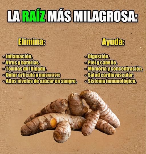 Cúrcuma, la raíz milagrosa