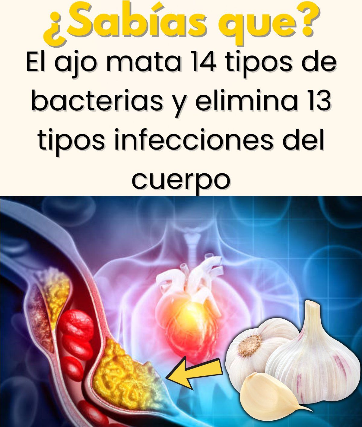 Propiedades saludables del ajo