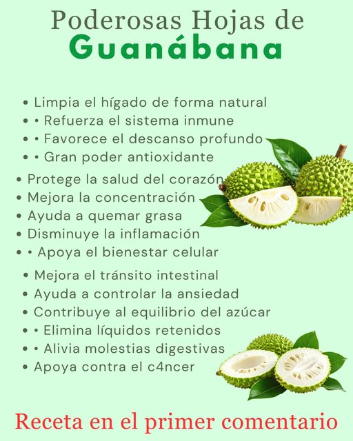 Hojas y fruta de guanábana