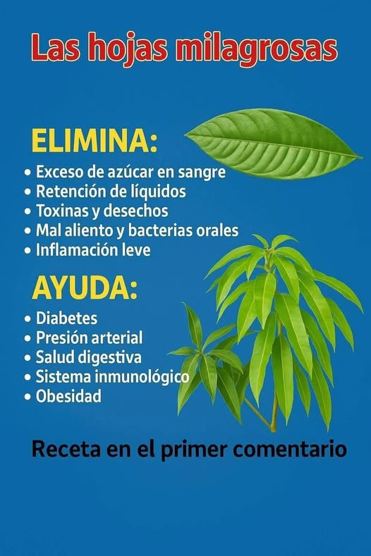 Las hojas milagrosas