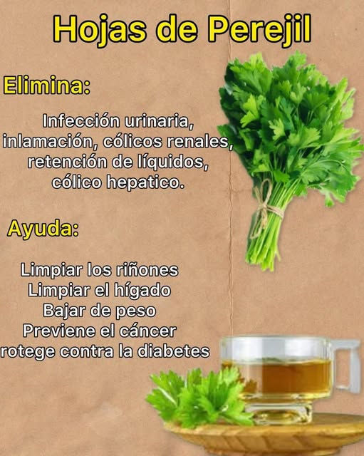 Infusión de perejil