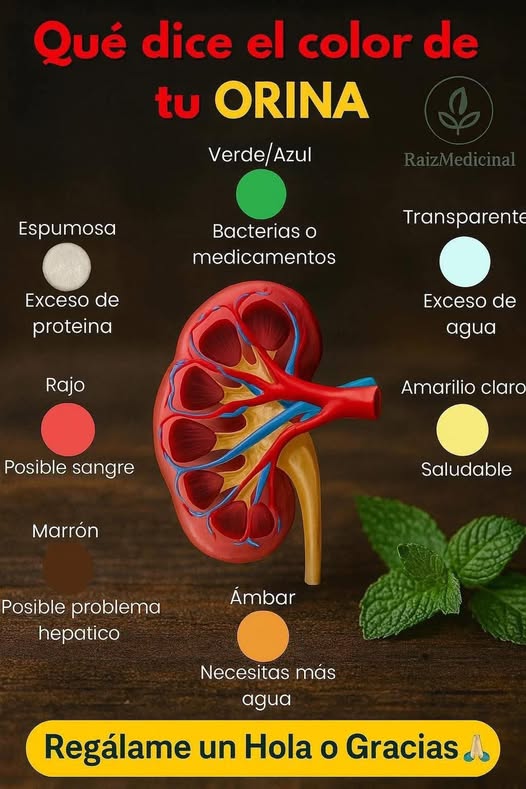 Gráfico de colores de la orina y su significado