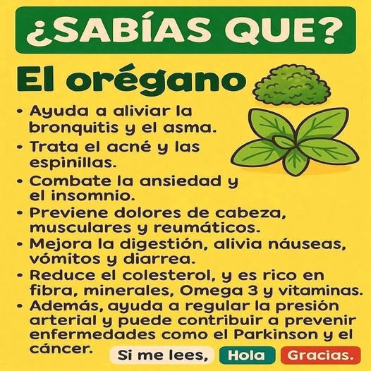 Beneficios del Orégano
