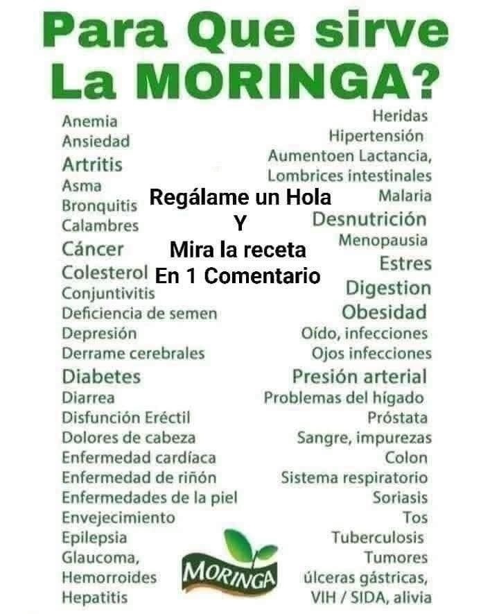 Hoja de Moringa