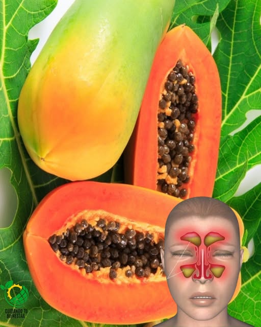 Imagen de semillas de papaya y beneficios para la salud
