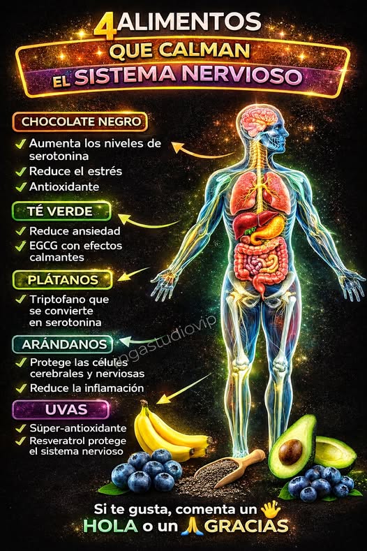 Alimentos que calman el sistema nervioso