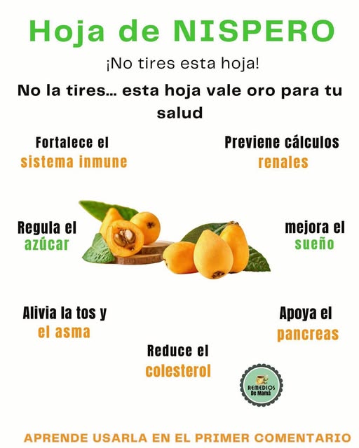 Hojas y fruto de níspero