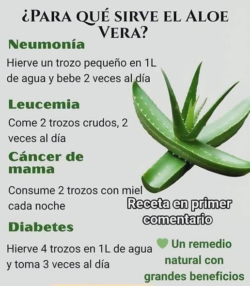 Beneficios del Aloe Vera