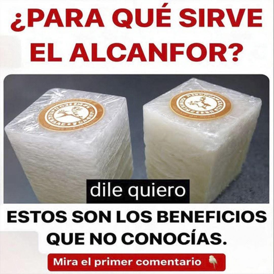 Cubos de Alcanfor