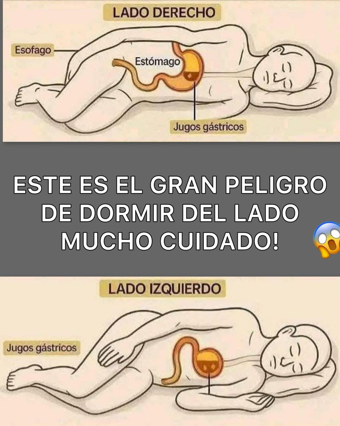 Comparativo de posiciones al dormir