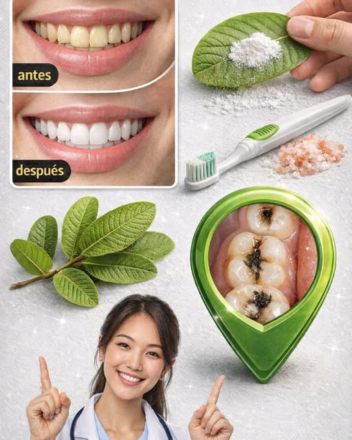 Uso de hojas de guayaba para blanquear dientes
