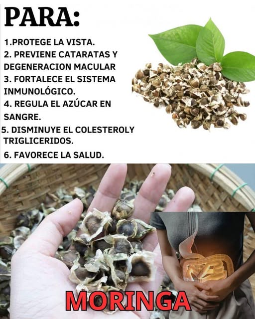 Beneficios de la Moringa