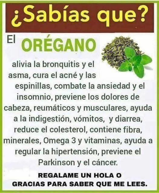Propiedades del Orégano
