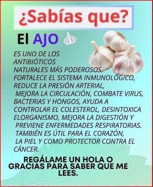 Beneficios del Ajo