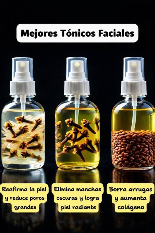 Tónicos Caseros para la Piel
