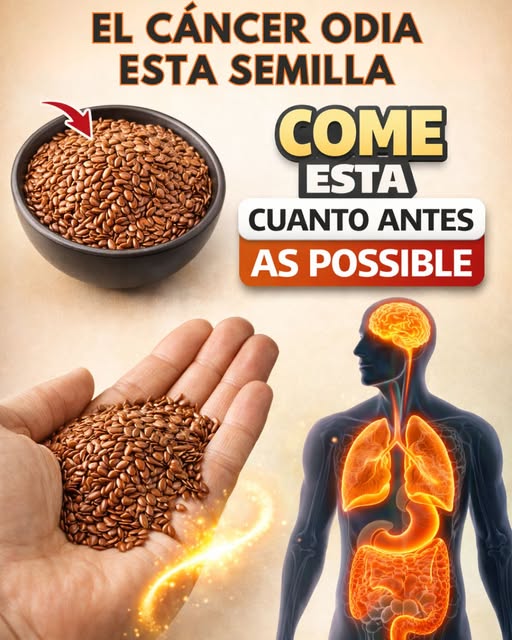 Beneficios de las semillas de linaza