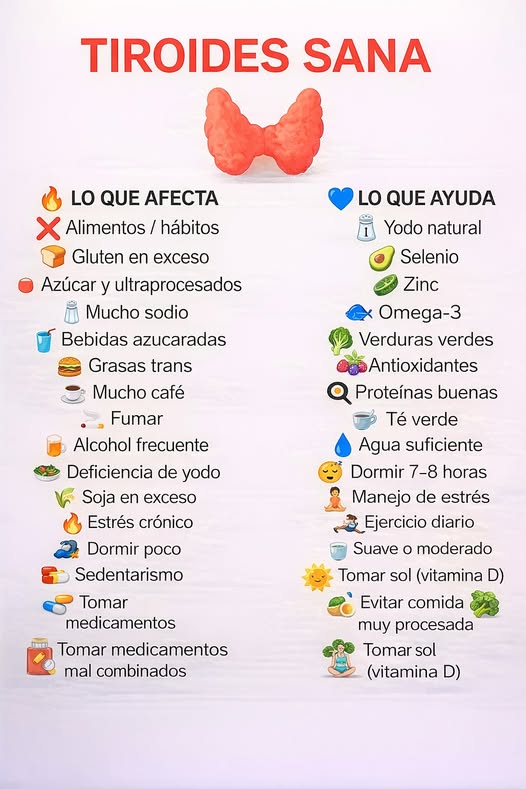 Infografía Tiroides Sana