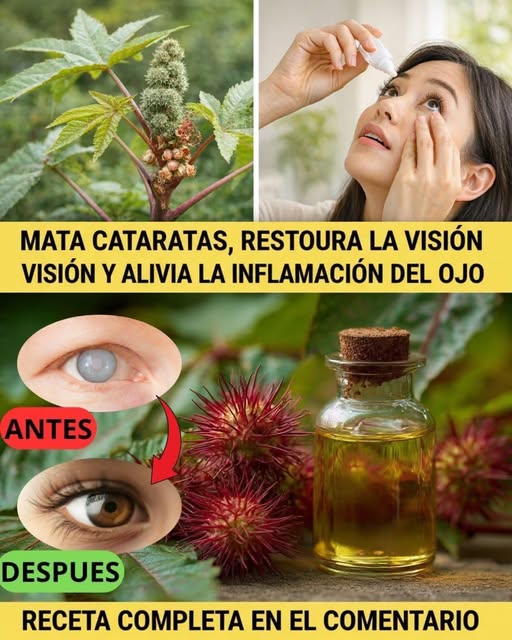 Remedio natural para la salud ocular