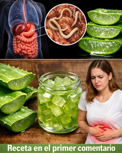 Sábila, miel y limón como remedio natural