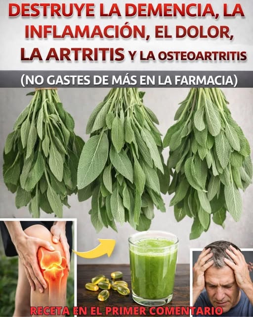 Beneficios de la salvia
