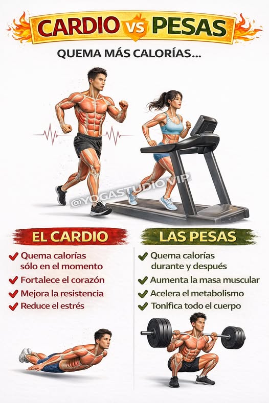Comparación entre Cardio y Pesas