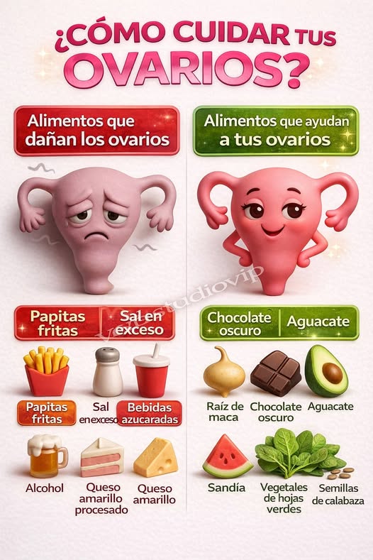 Infografía sobre cómo cuidar los ovarios