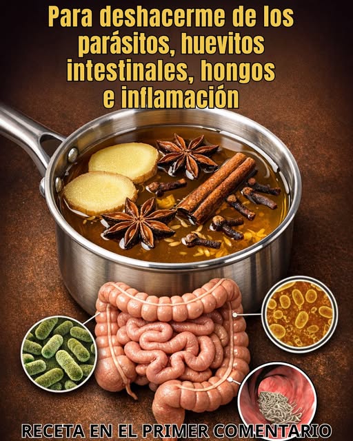 Ingredientes para infusión natural