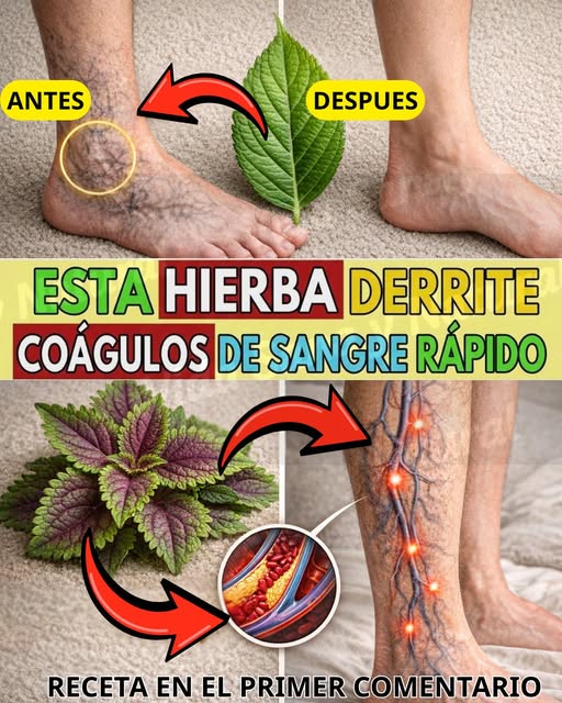 Hierbas para combatir coágulos