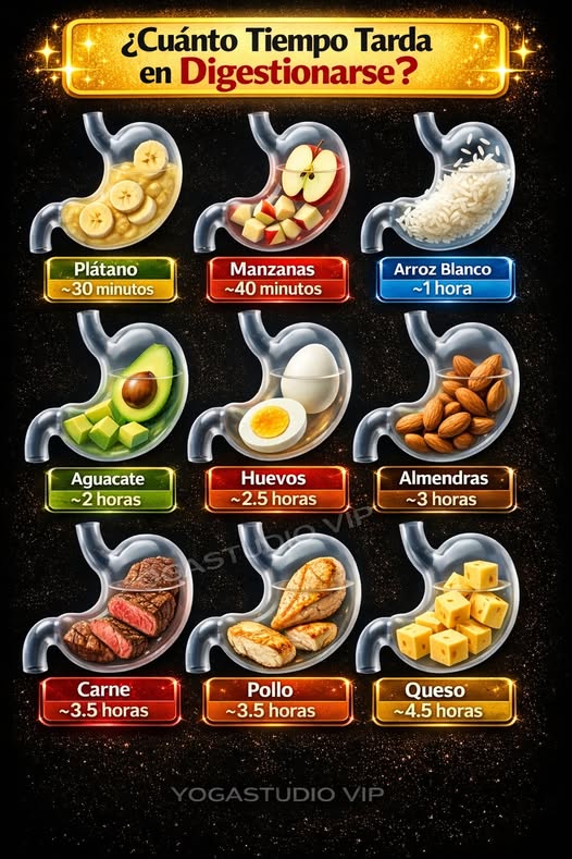 Tiempos de digestión de alimentos