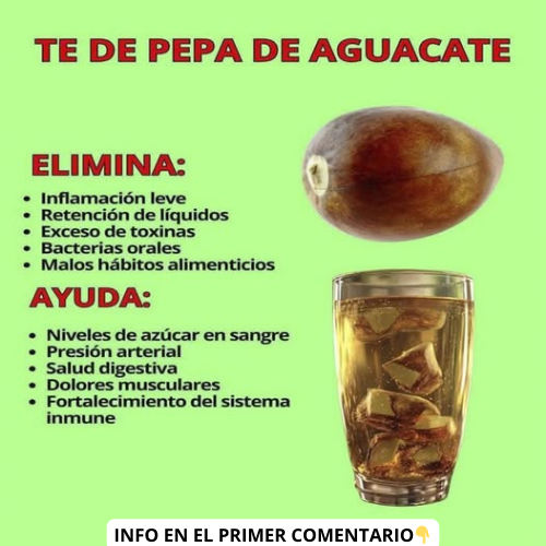 Infografía sobre los beneficios del té de pepa de aguacate