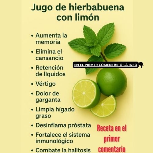 Jugo de hierbabuena y limón