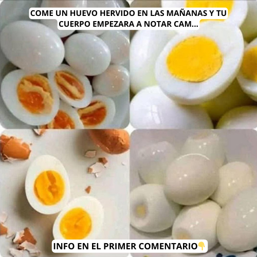 Huevos hervidos