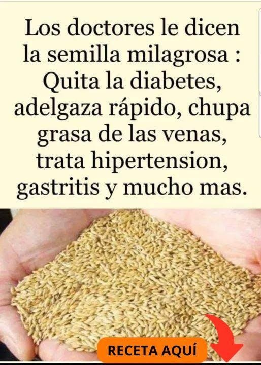 Semilla milagrosa en manos