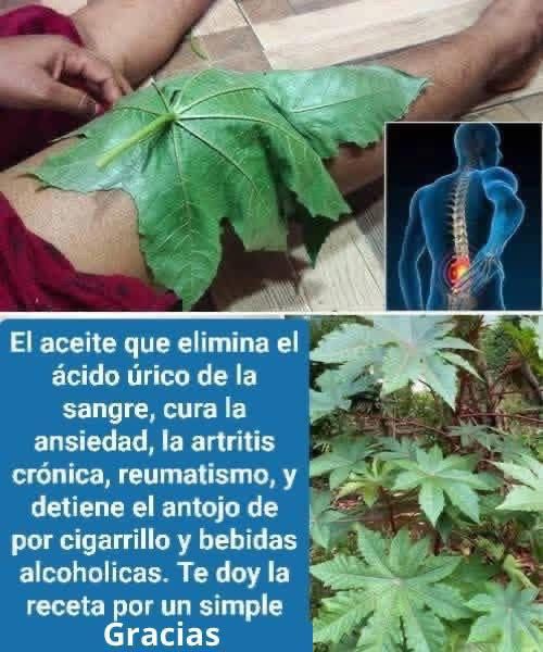 Uso del aceite de ricino