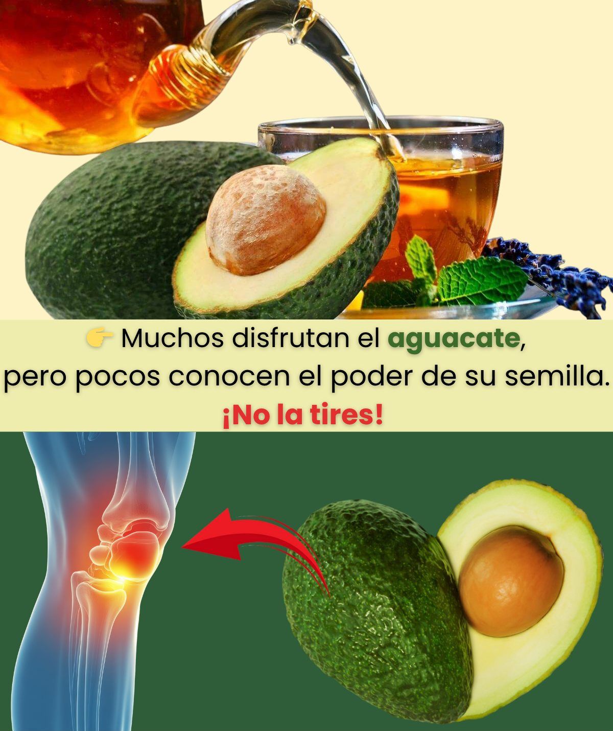 Semilla de aguacate y beneficios para la salud