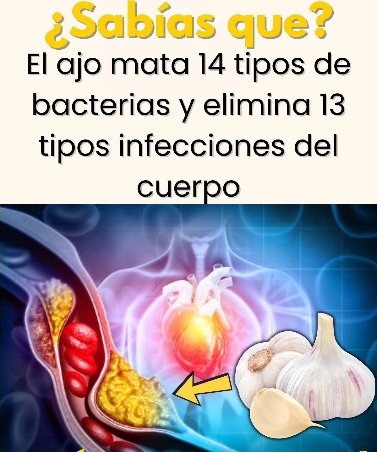 Ajo y Salud Cardiovascular
